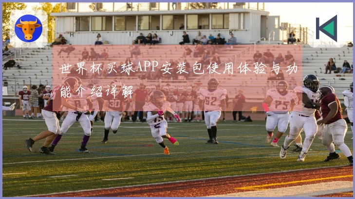 世界杯买球APP安装包使用体验与功能介绍详解