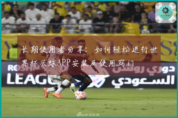 长期使用者分享：如何轻松进行世界杯买球APP安装及使用窍门