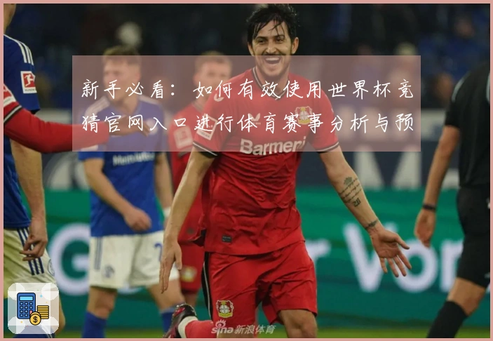 新手必看：如何有效使用世界杯竞猜官网入口进行体育赛事分析与预测
