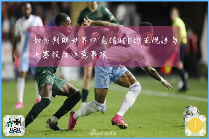 如何判断世界杯竞猜app的正规性与决赛投注注意事项