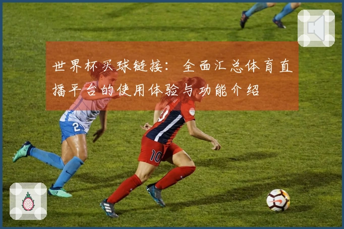 世界杯买球链接：全面汇总体育直播平台的使用体验与功能介绍