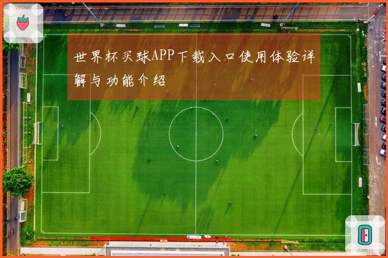 世界杯买球APP下载入口使用体验详解与功能介绍