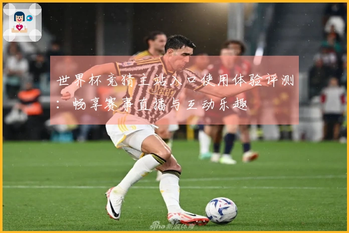 世界杯竞猜主站入口使用体验评测:畅享赛事直播与互动乐趣